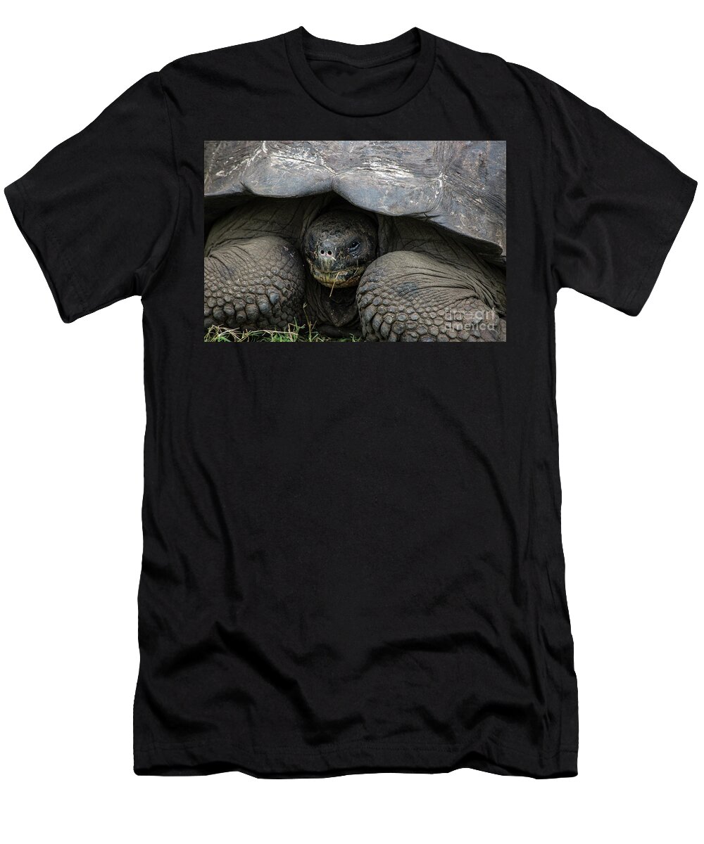 Animals T-Shirt featuring the photograph Only a Mother Would Love by Kathy McClure