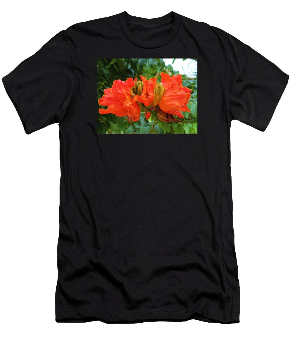 Mexico T-Shirt featuring the photograph Orange Flowers by Vijay Sharon Govender