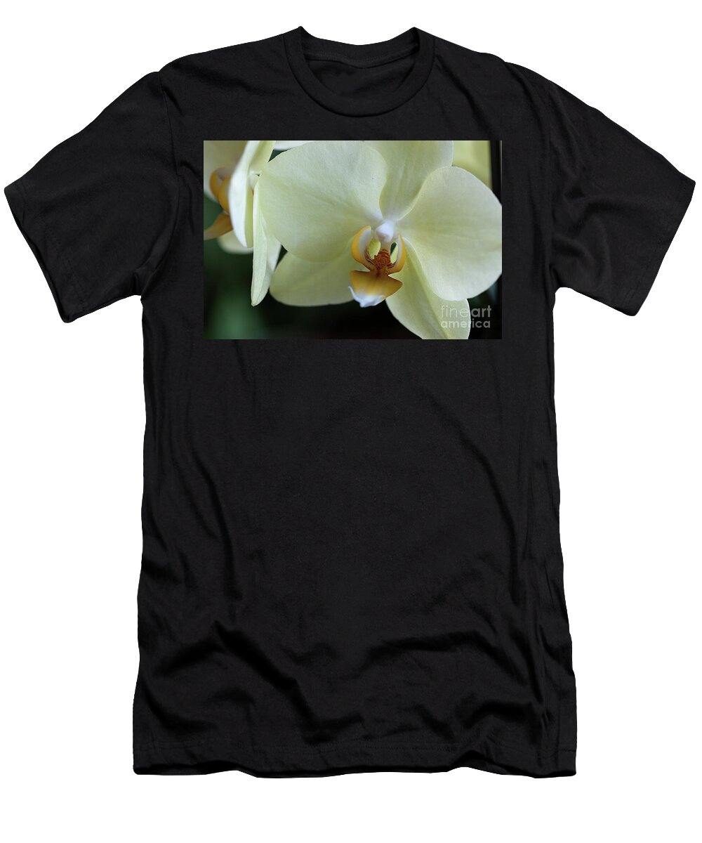 Orchid T-Shirt featuring the photograph Orchid Pastel Yellow by Sherry Hallemeier