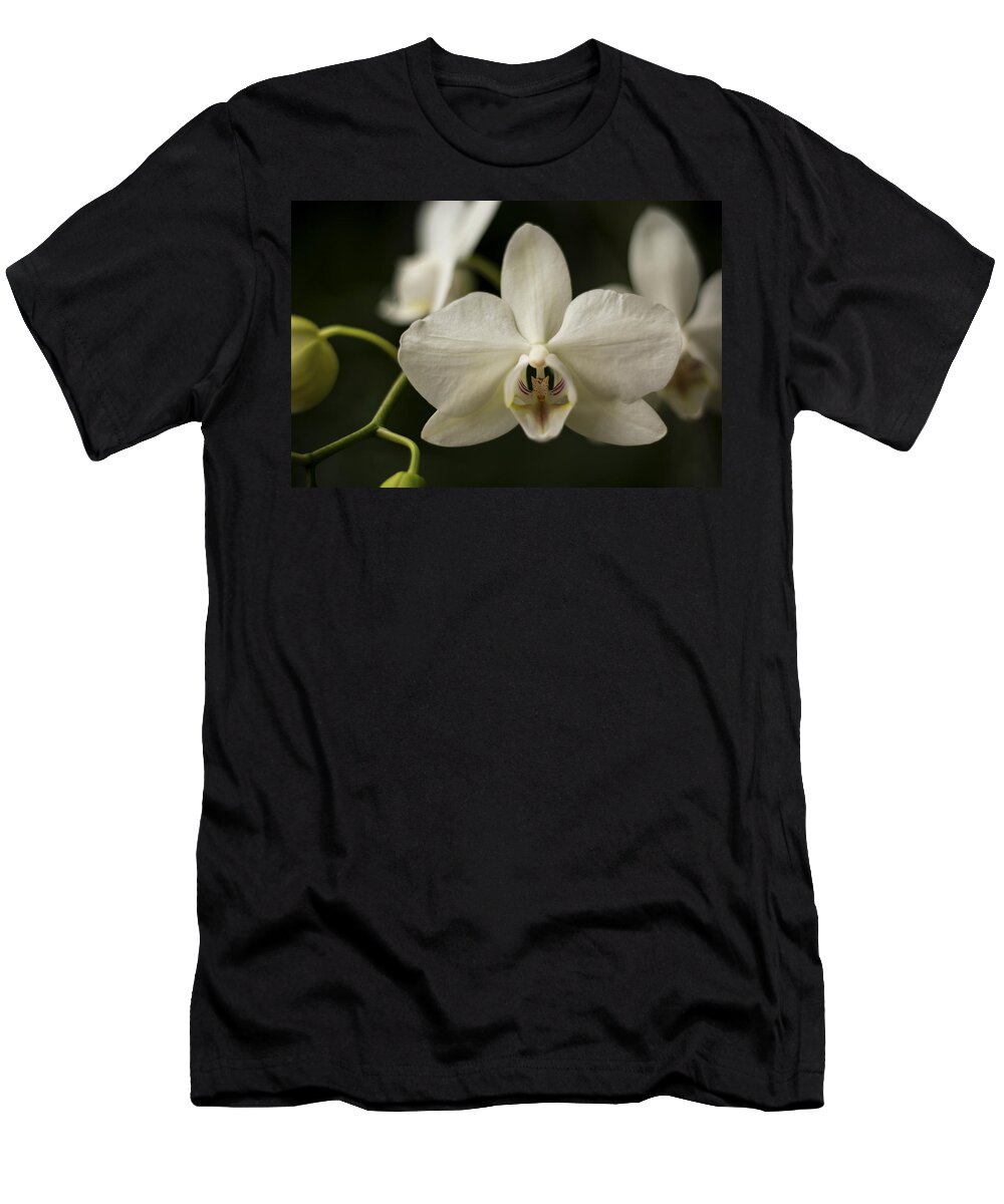 Orchid T-Shirt featuring the photograph Orchids by Holly Ross