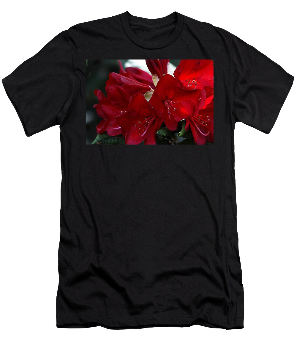 Red Rhododendron T-Shirt featuring the photograph Ornamental Red Rhododendrons by Jeanette C Landstrom
