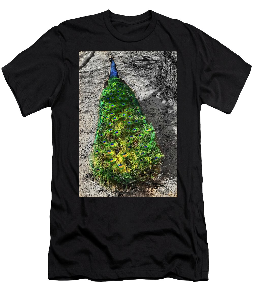 Peacock T-Shirt featuring the photograph Out on a Walk by Doris Aguirre