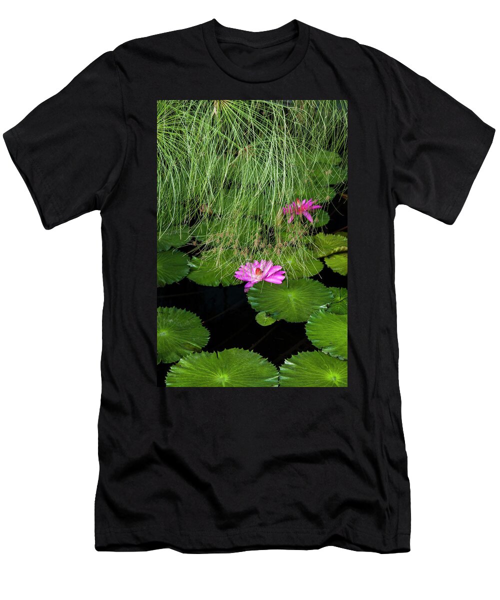 Water Lily T-Shirt featuring the photograph Papyrus and Water Lily by Ginger Stein