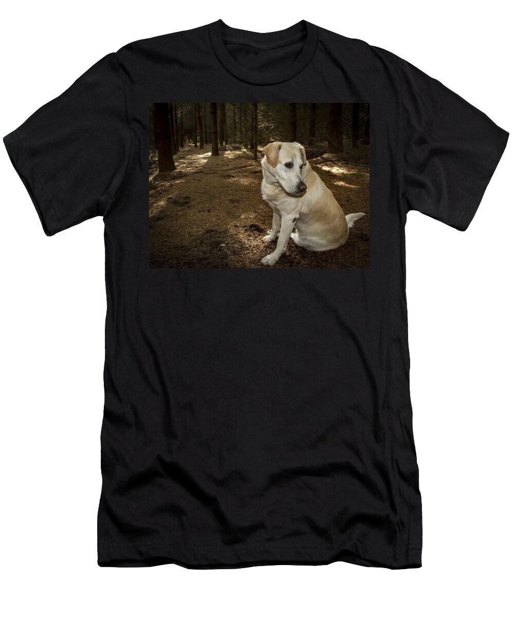 Animal T-Shirt featuring the photograph Pasha in the Woods by Jean Noren