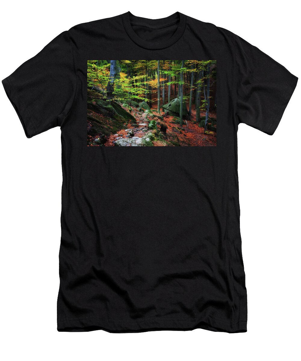 Forest T-Shirt featuring the photograph Path in Autumn Forest Picturesque Scenery by Artur Bogacki
