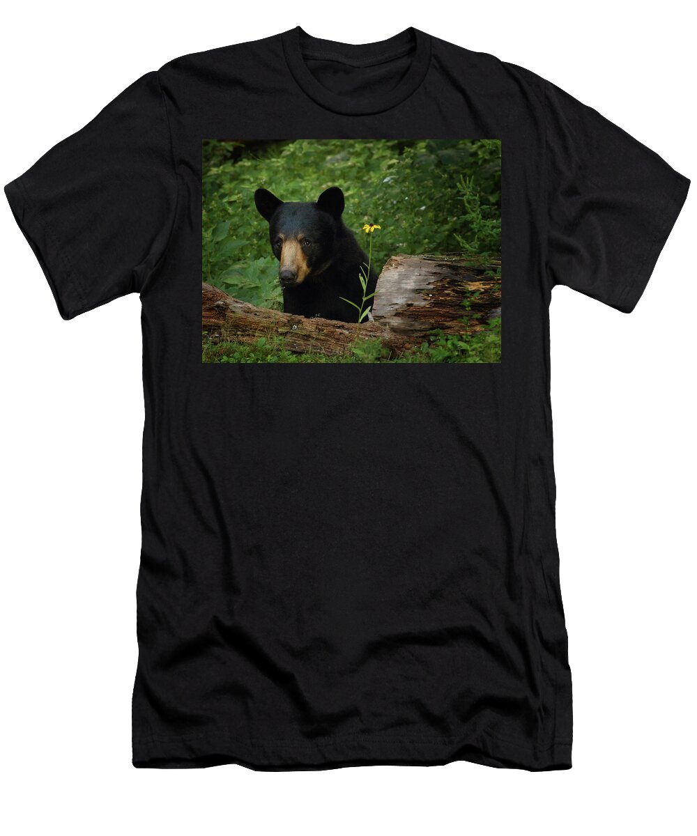 Bear T-Shirt featuring the photograph Peeking Around the Log by Duane Cross