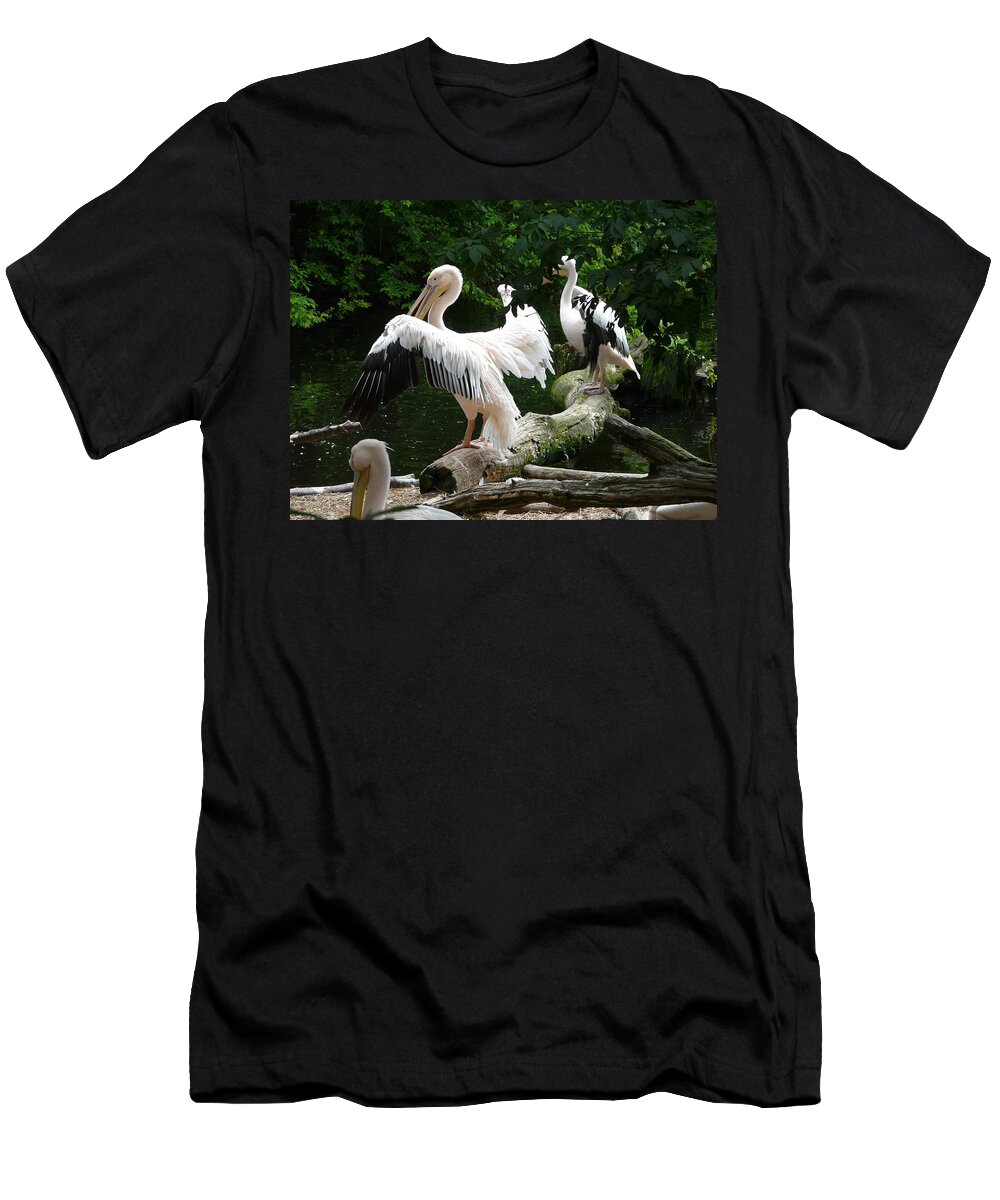 Bird T-Shirt featuring the photograph Pelican Hideaway by Valerie Ornstein