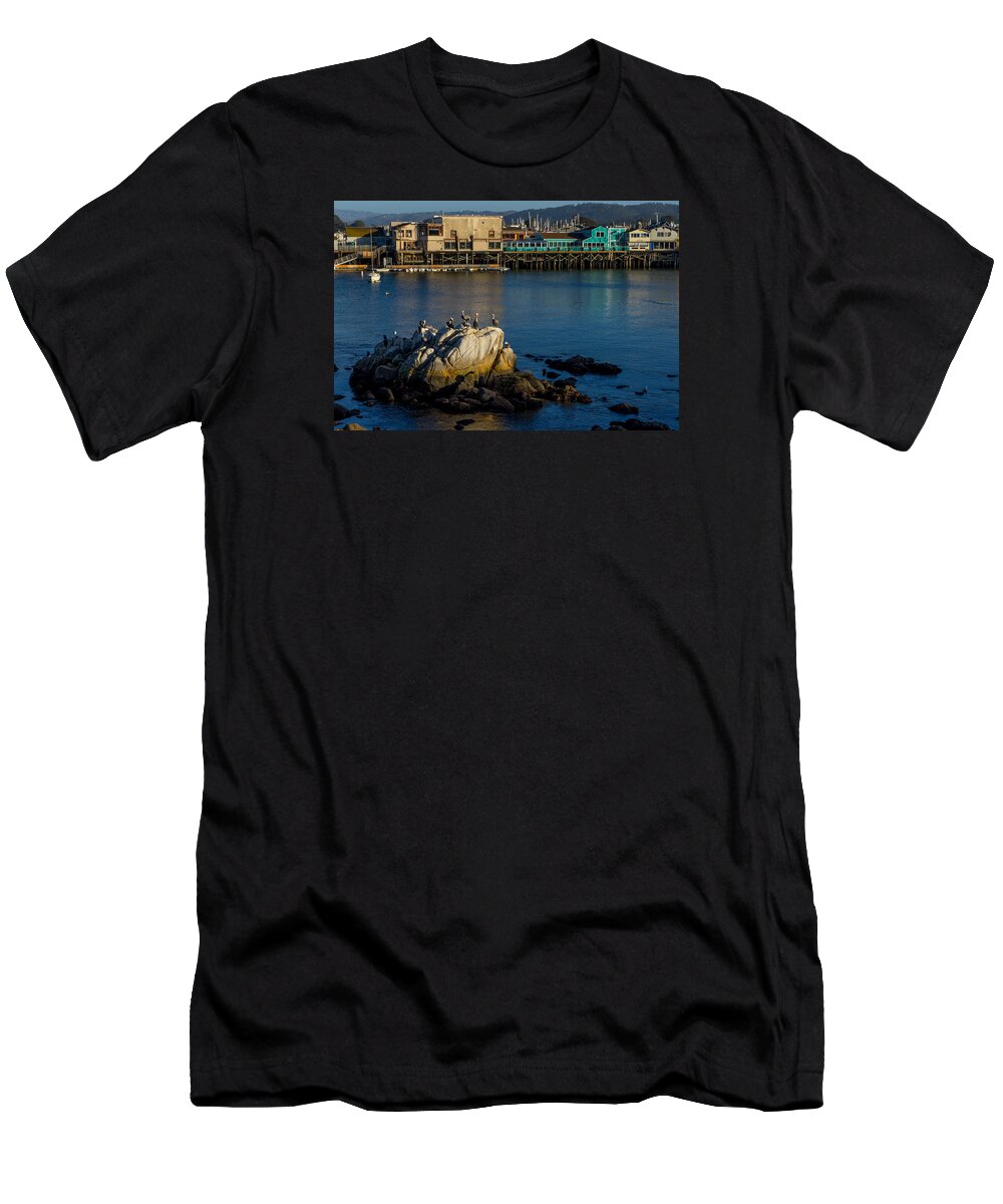 Pelicans T-Shirt featuring the photograph Pelican Place by Derek Dean