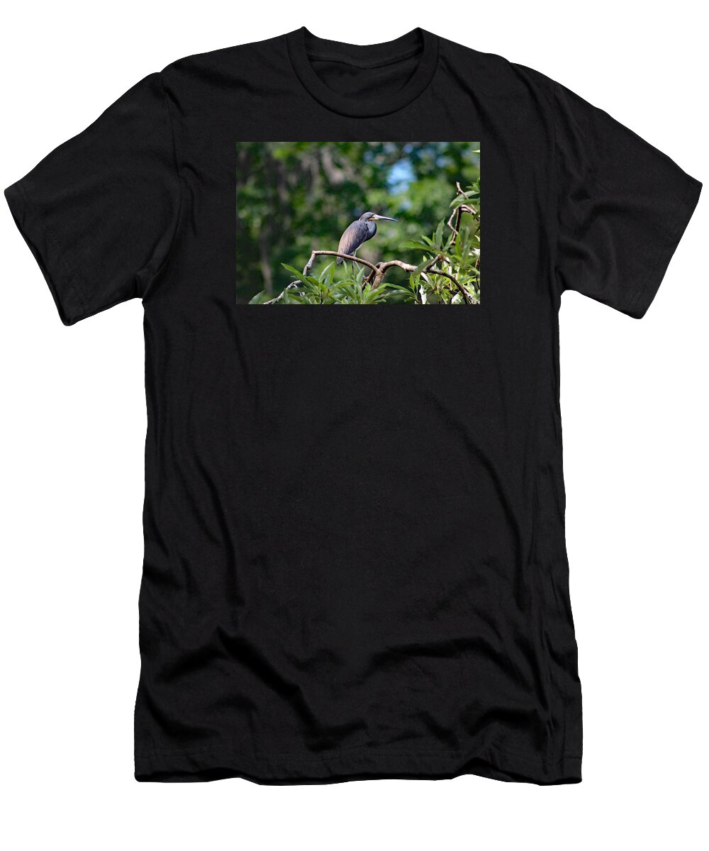 Nature T-Shirt featuring the photograph Perched by DB Hayes
