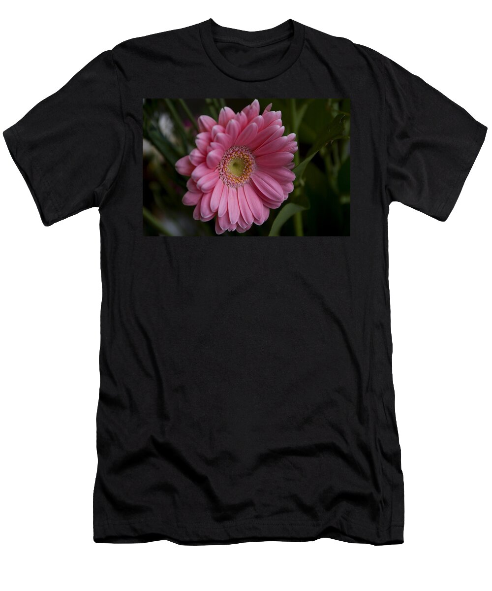 Nature T-Shirt featuring the photograph Perfection by Rhonda McDougall