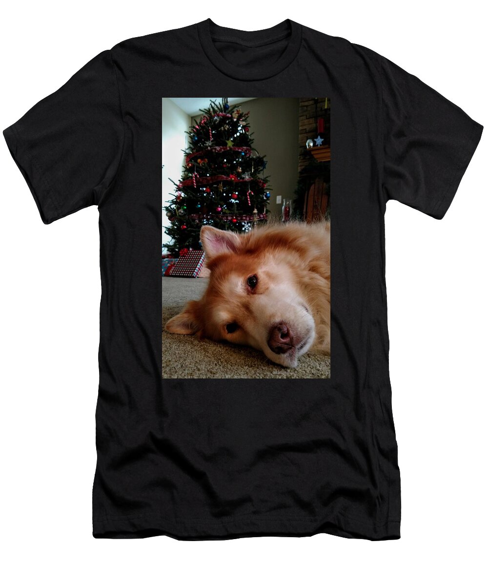  T-Shirt featuring the photograph Photo Bomb Doggo by Brad Nellis
