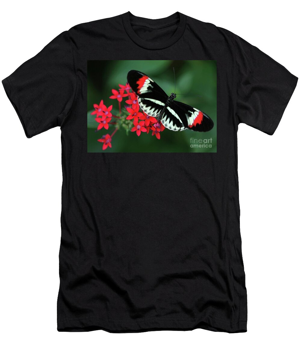 Butterfly T-Shirt featuring the photograph Piano Key Butterfly by Sabrina L Ryan