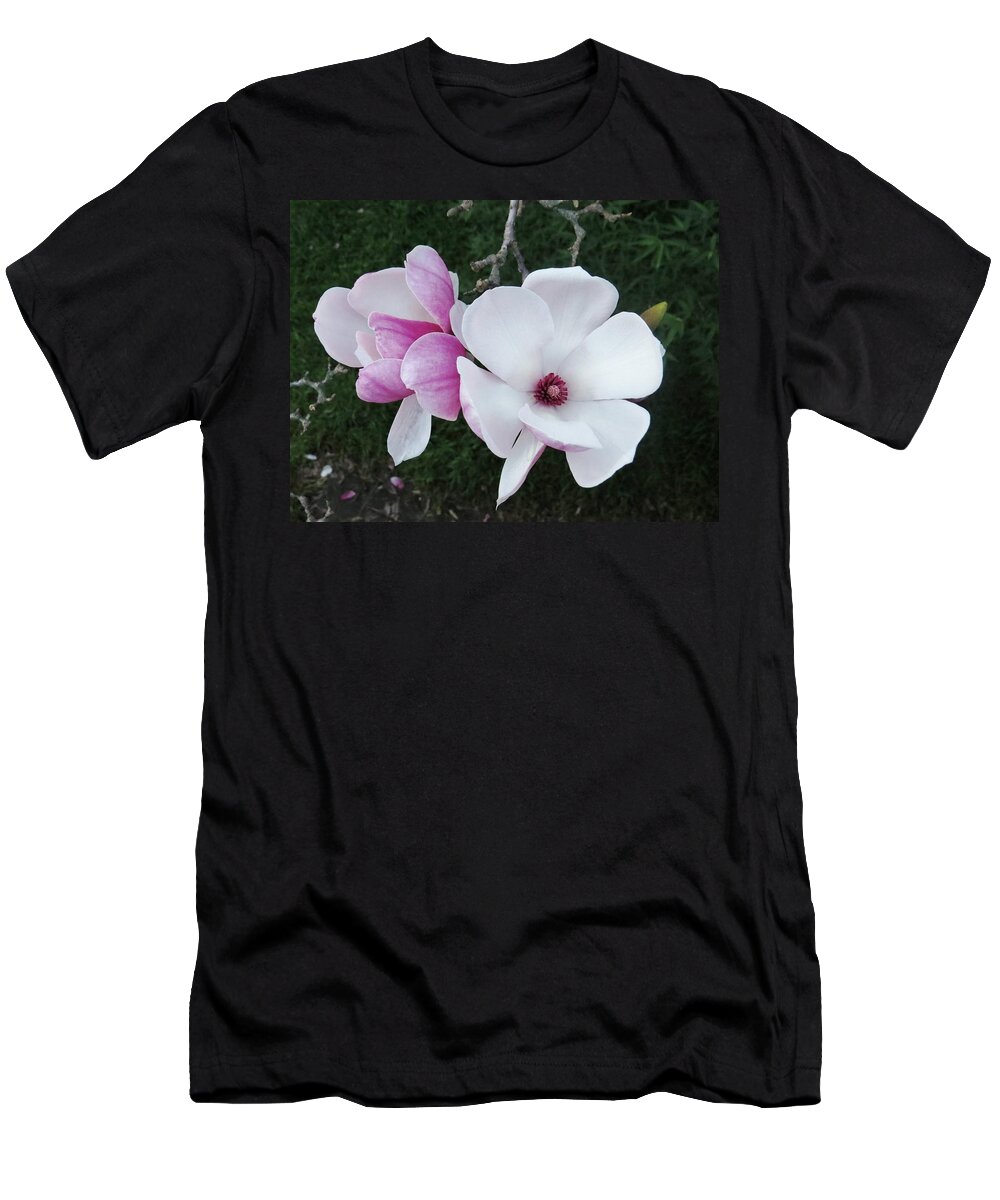 Beautiful T-Shirt featuring the photograph Pink And White Delight Taken Pymble by Amanda S Leek
