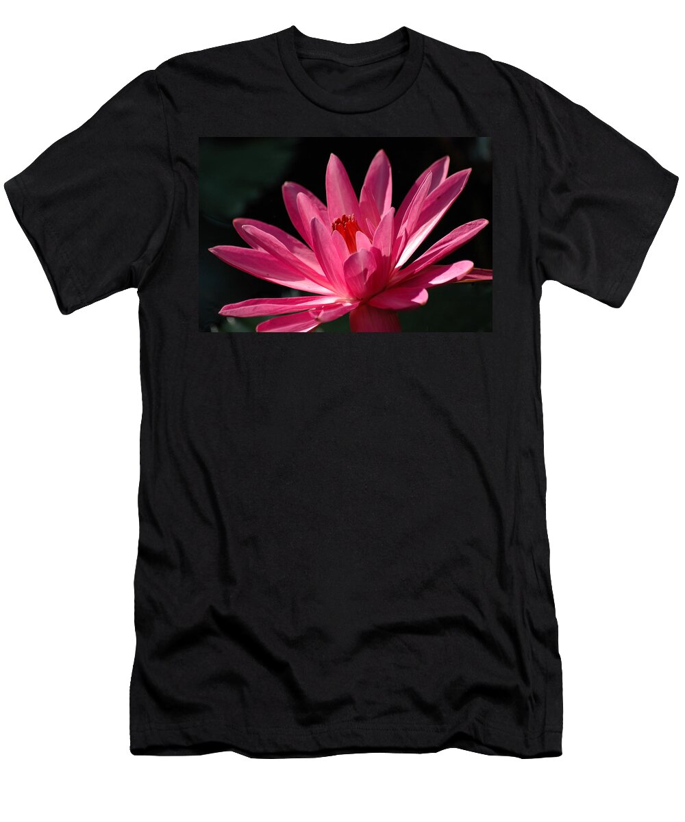 Water Lily T-Shirt featuring the photograph Pink Beauty by Carolyn Marshall