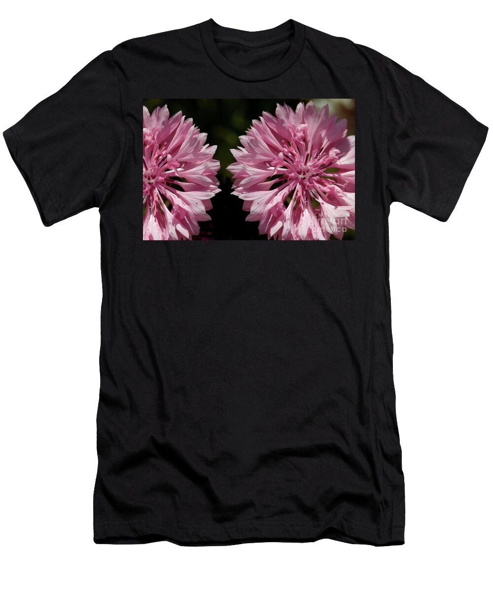 Cornflower T-Shirt featuring the photograph Pink cornflowers by Stephen Melia