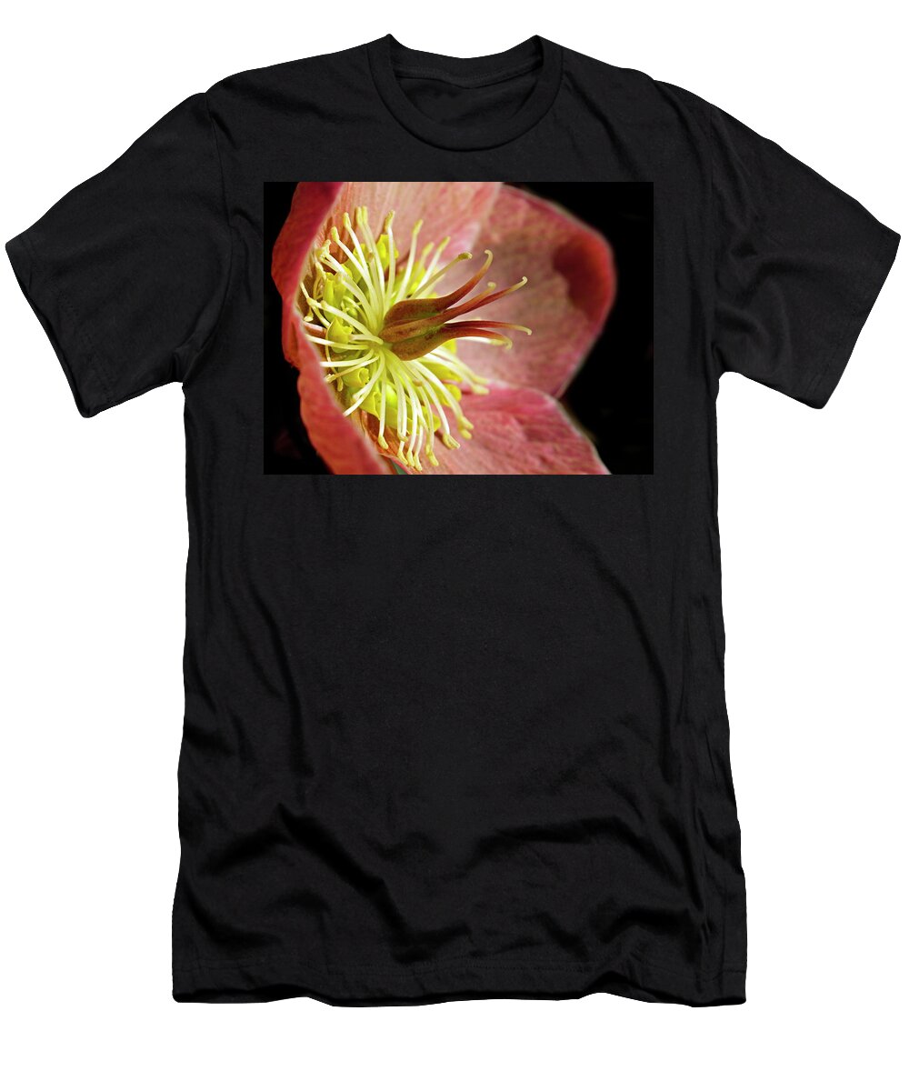 Lenten Rose T-Shirt featuring the photograph Pink Hellebores by Inge Riis McDonald