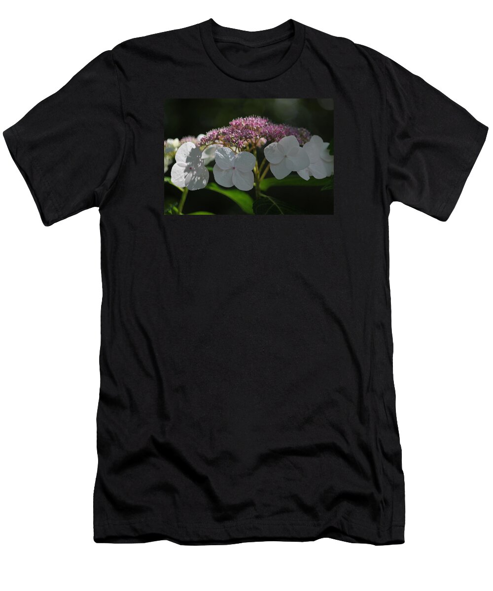 Photograph T-Shirt featuring the photograph Pink Lace Cap Hydrangea by Suzanne Gaff
