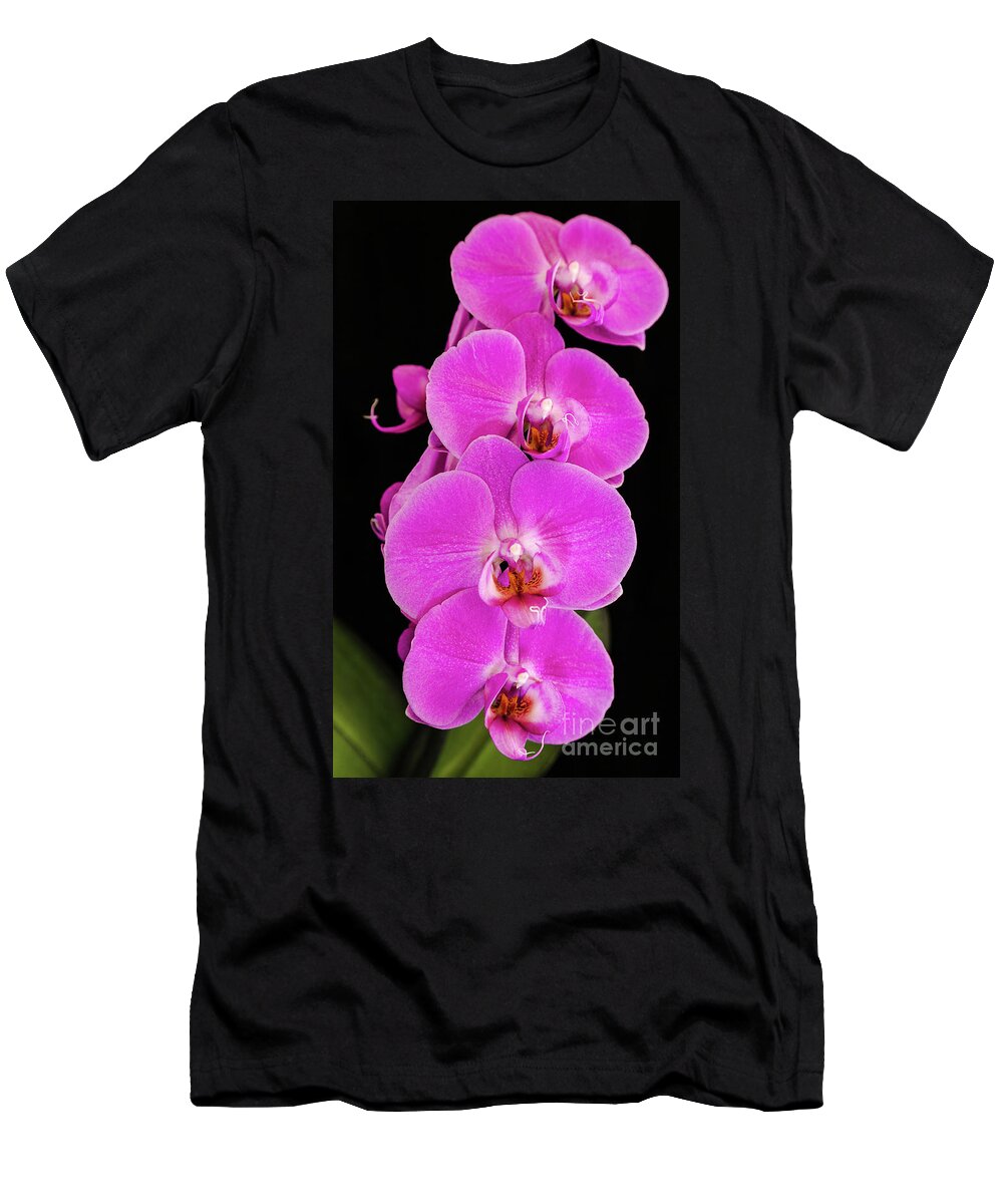 Pink Orchid T-Shirt featuring the photograph Pink orchid against a black background by Andy Myatt