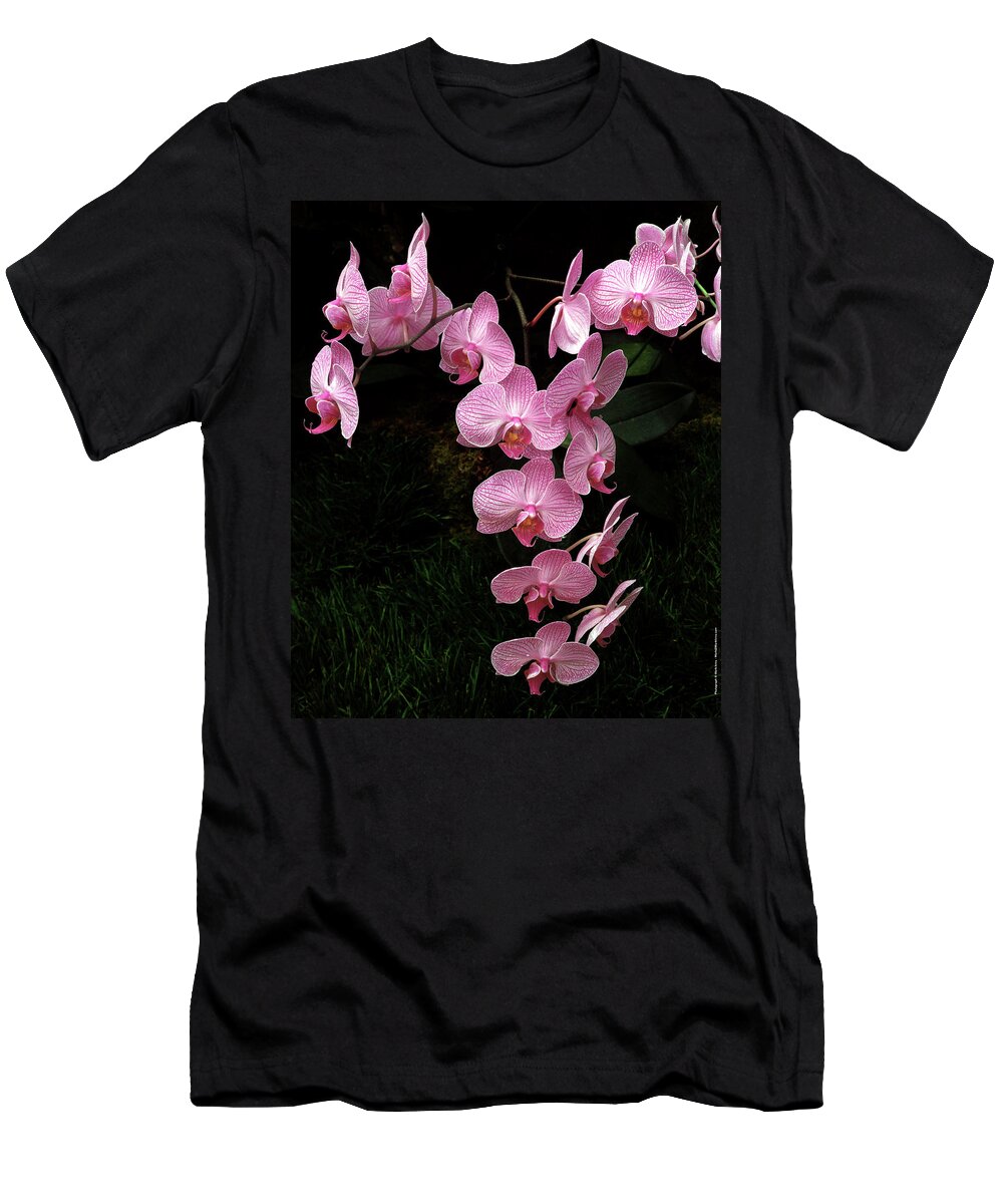 Orchids T-Shirt featuring the photograph Pink Orchids by Mark Ivins