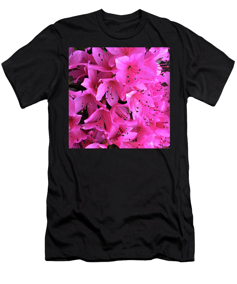 Flower T-Shirt featuring the photograph Pink Passion in the Rain by Sherry Hallemeier