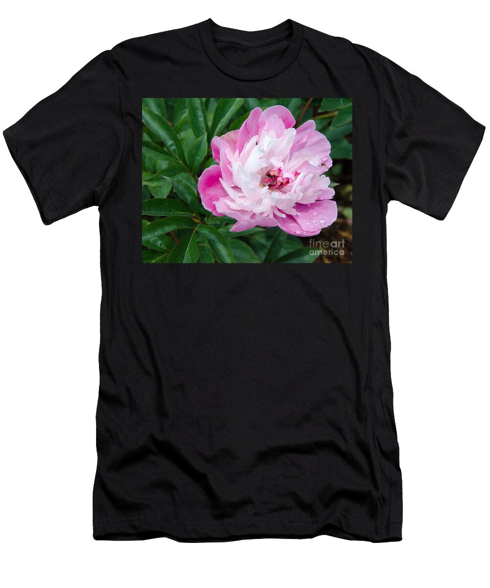 Pink T-Shirt featuring the painting Pink Peony by Laurel Best