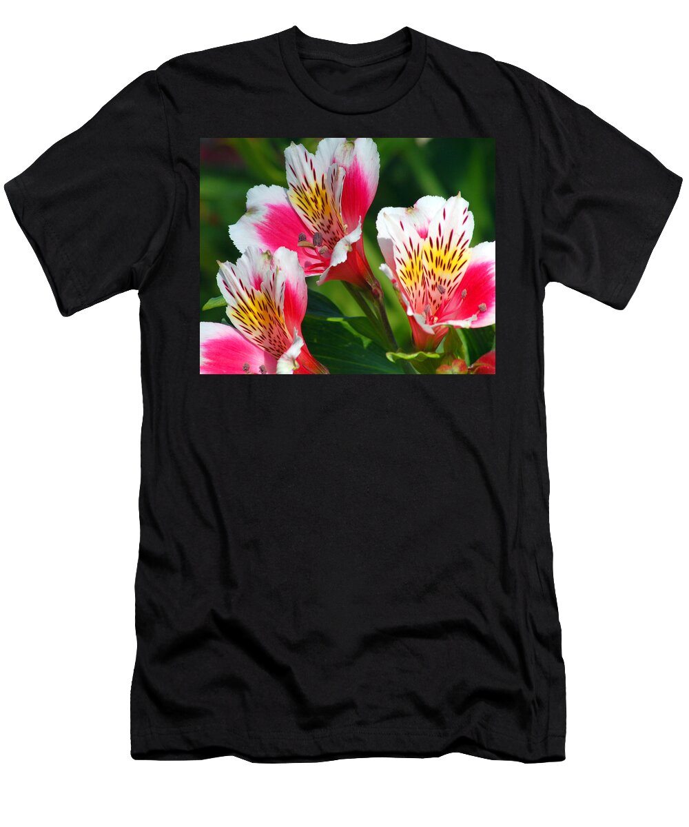 Peruvian T-Shirt featuring the photograph Pink Peruvian Lily 2 by Amy Fose