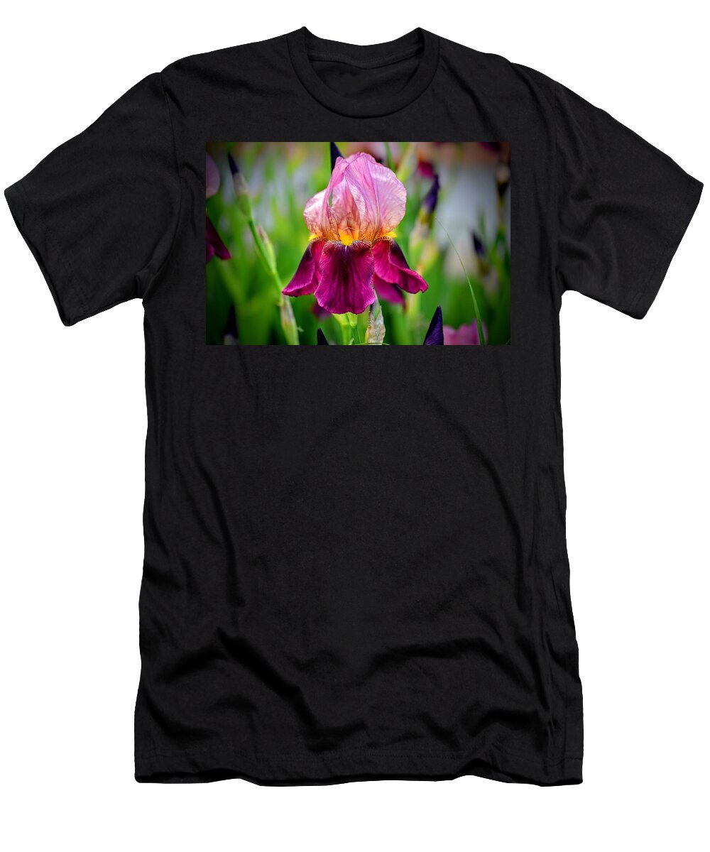 Pink Iris T-Shirt featuring the photograph Pink Purple Iris by Michael Brungardt
