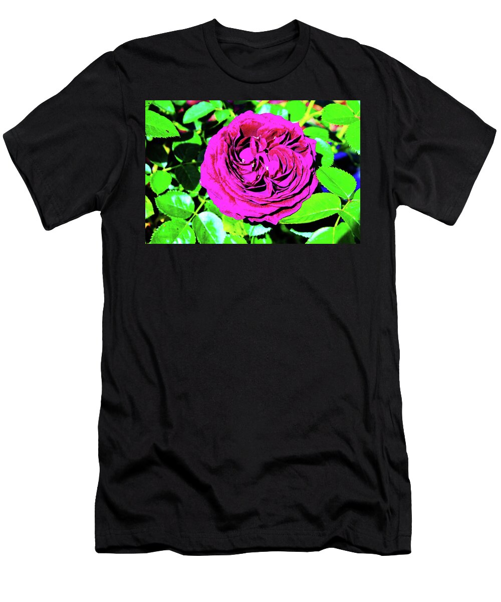 Plum T-Shirt featuring the photograph Plum Purple Rose by Cynthia Guinn