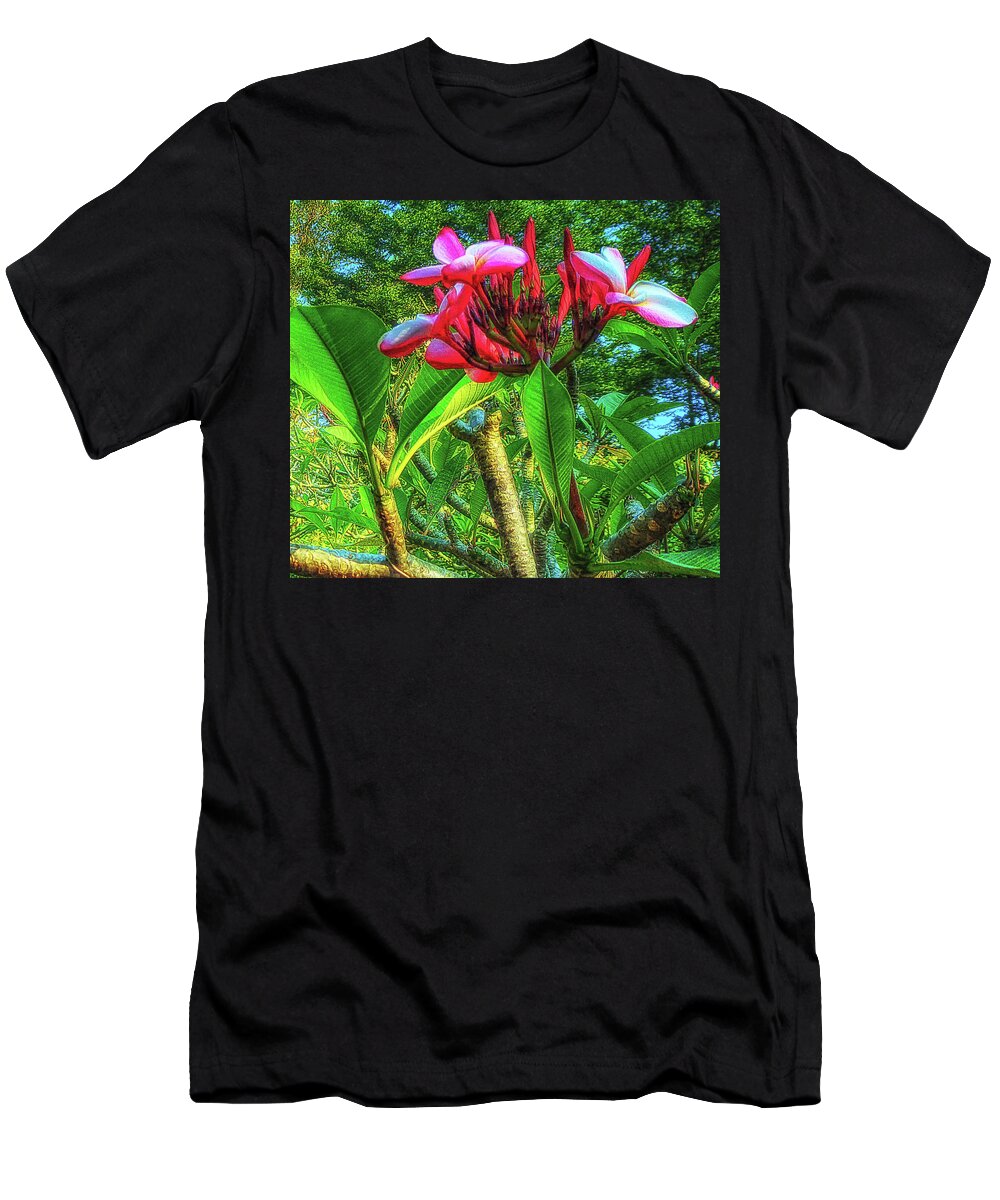 Frangipani T-Shirt featuring the photograph Plumeria by Joseph Hollingsworth
