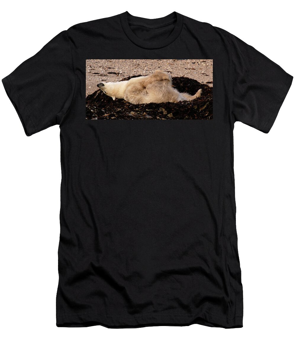 Polar T-Shirt featuring the photograph Polar Bear Warmup by Ted Keller