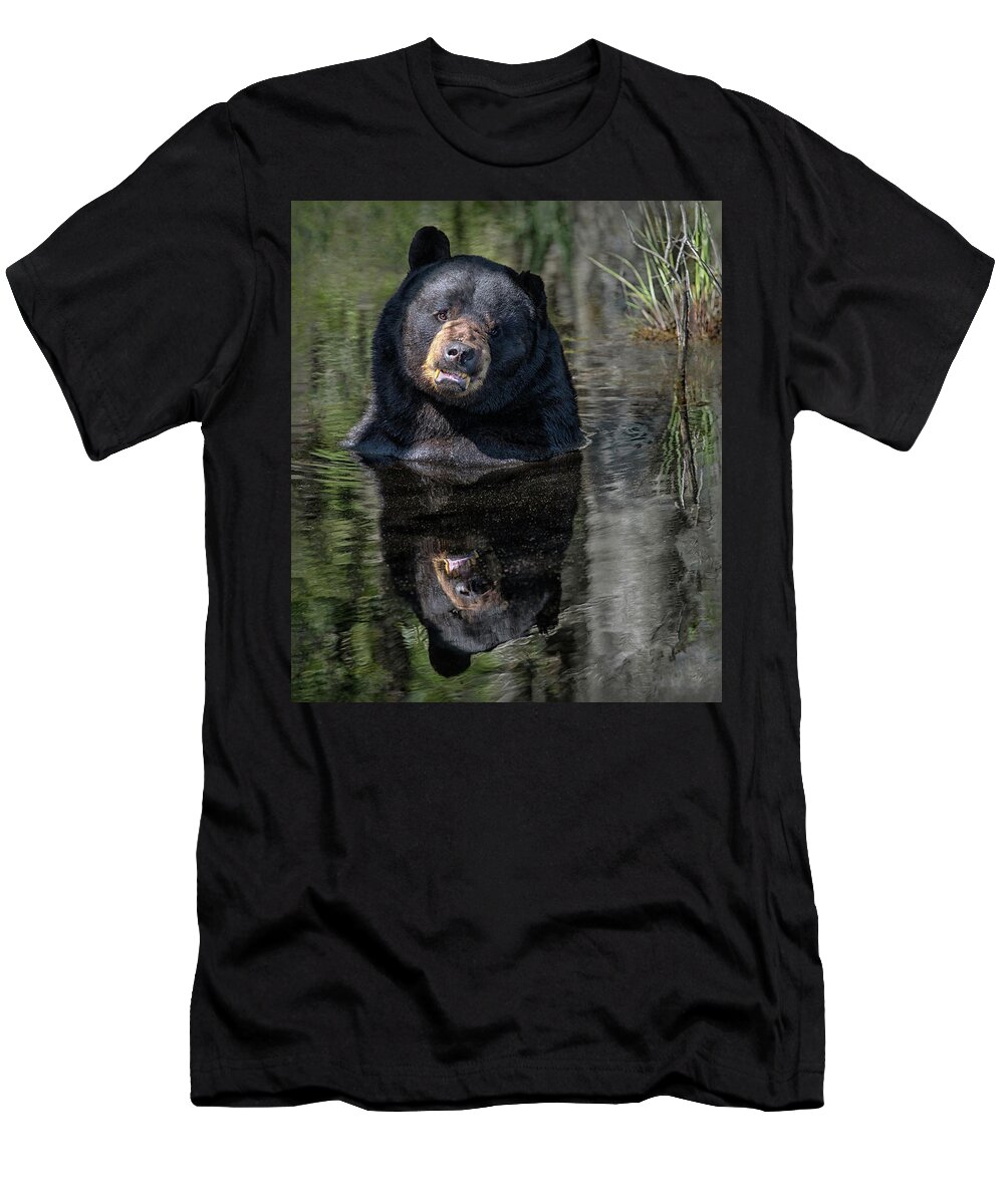 Bear T-Shirt featuring the photograph Pool Break by Art Cole