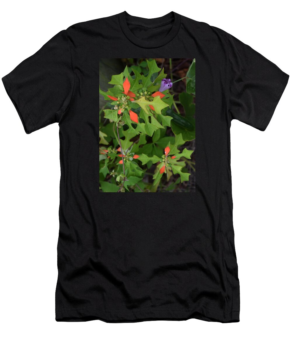 Floral T-Shirt featuring the photograph Pop of Color by Deborah Crew-Johnson