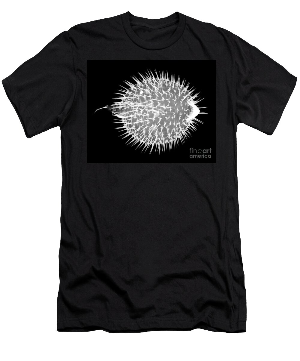 Xray T-Shirt featuring the photograph Porcupine Puffer by Ted Kinsman