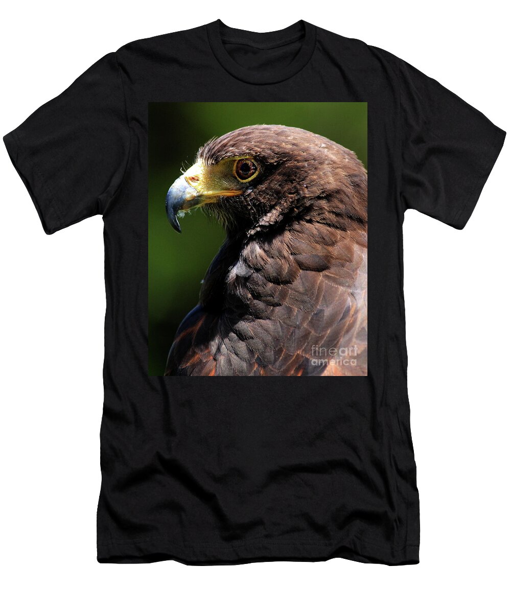 Animal T-Shirt featuring the photograph Portrait of a Hawk . 40D7882 by Wingsdomain Art and Photography