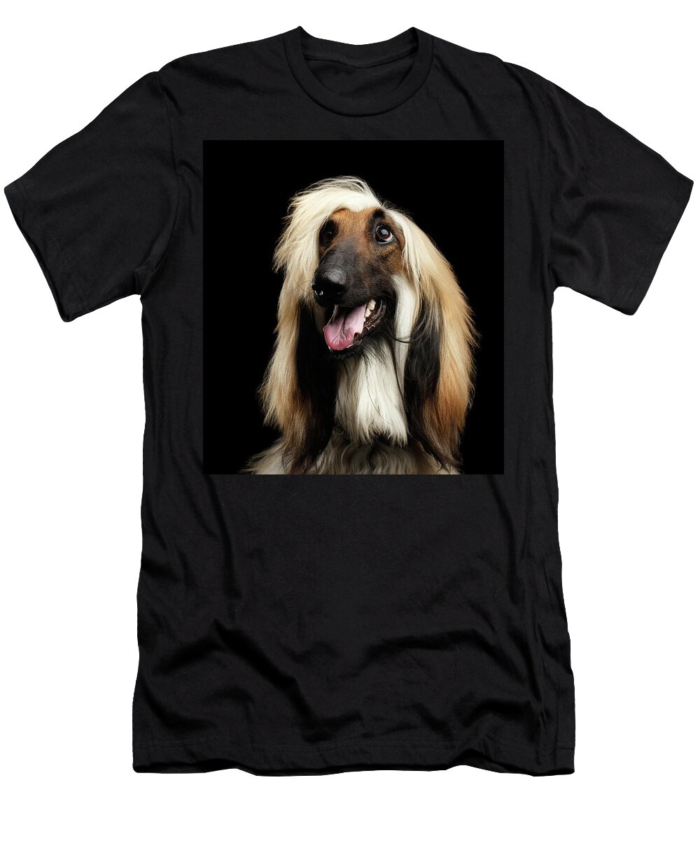 Dog T-Shirt featuring the photograph Portraitof Afghan Hound on Black by Sergey Taran