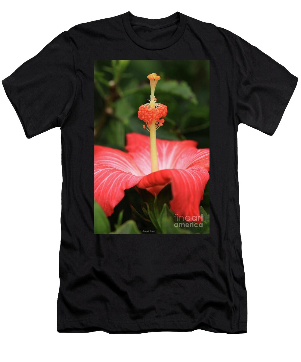 Hibiscus T-Shirt featuring the photograph Provocative Hibiscus by Deborah Benoit