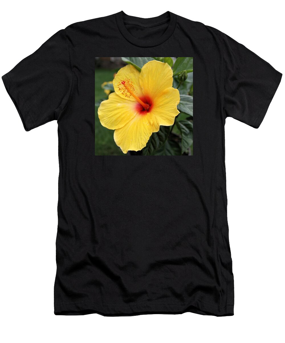 Flower T-Shirt featuring the photograph Pua Aloalo by DJ Florek