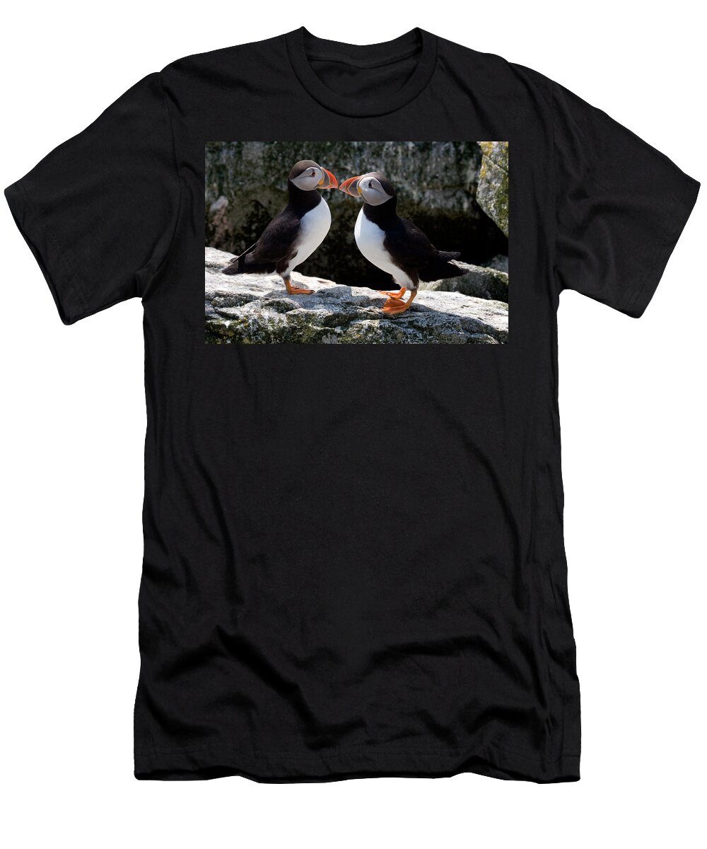 Puffin T-Shirt featuring the photograph Puffin Love by Brent L Ander