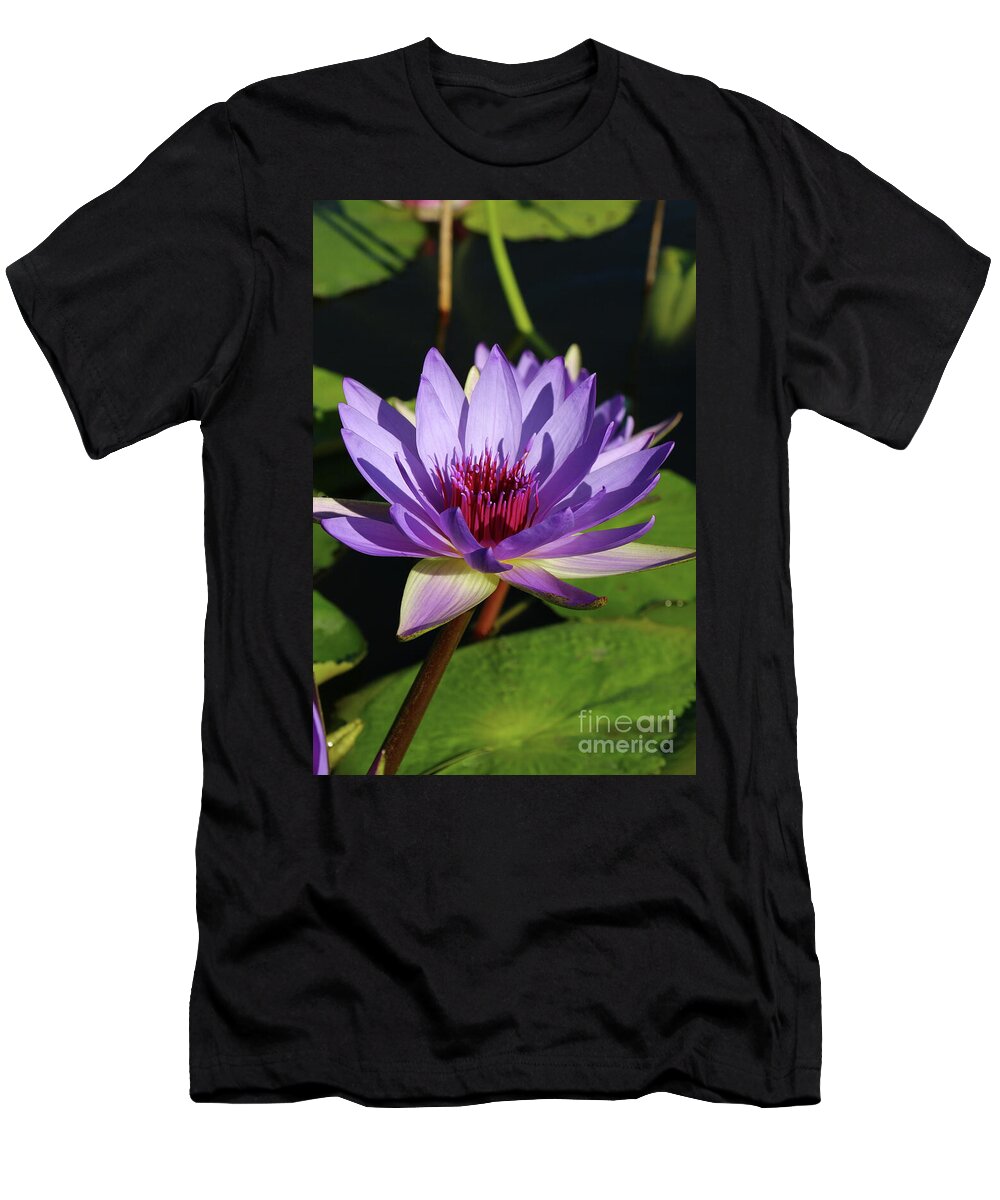 Lotus T-Shirt featuring the photograph Purple Beauty by Christiane Schulze Art And Photography
