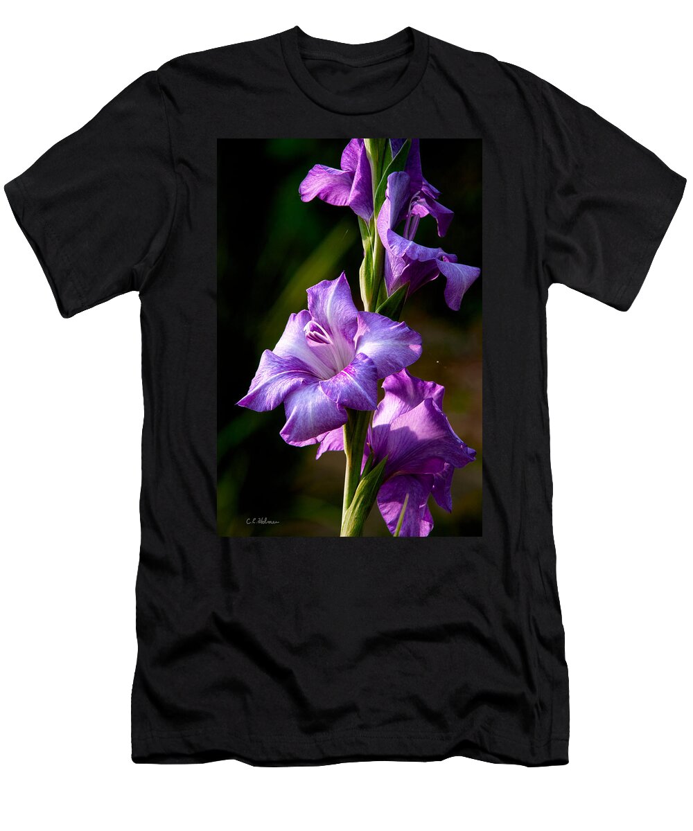 Gladiolas T-Shirt featuring the photograph Purple Glads by Christopher Holmes