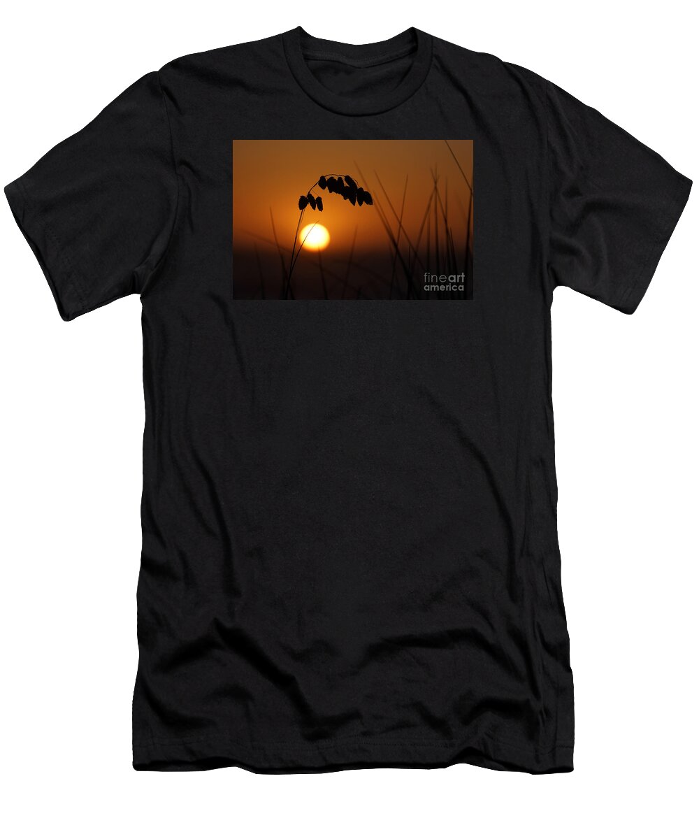 Sunset T-Shirt featuring the photograph Quiet sunset by Inge Riis McDonald