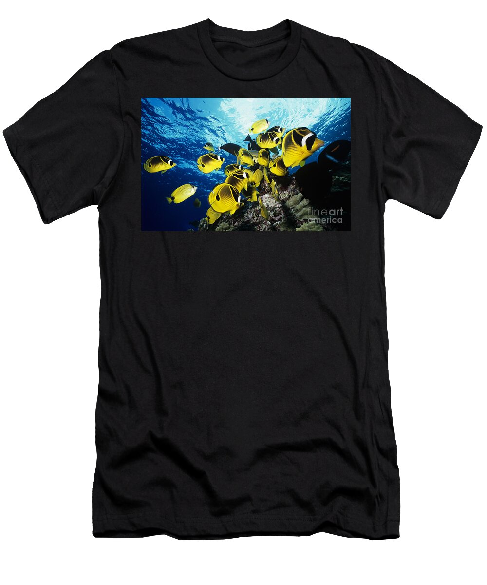 Animal Art T-Shirt featuring the photograph Raccoon Butterflyfish by Ed Robinson - Printscapes