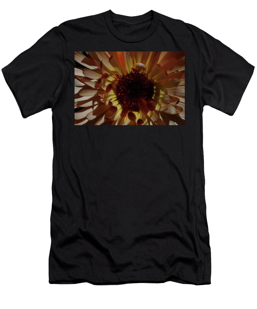 Calendula T-Shirt featuring the photograph Radiant Calendula by Laura Davis