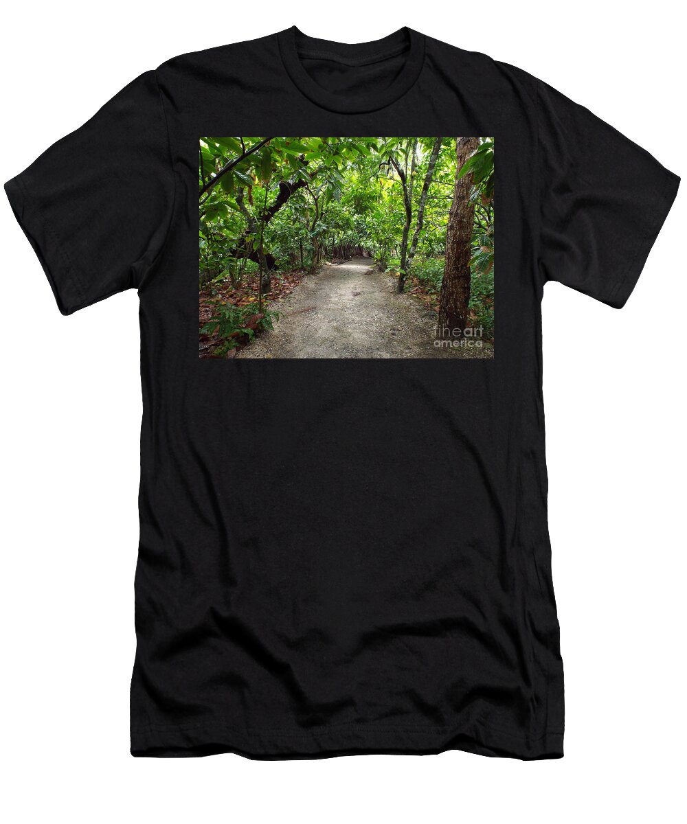 Forest T-Shirt featuring the photograph Rain Forest Road by Barbara Von Pagel