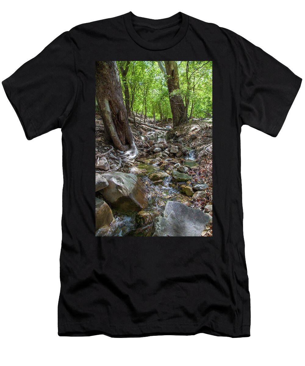 Ramsey Canyon Preserve T-Shirt featuring the photograph Ramsey Canyon Preserve by Lon Dittrick