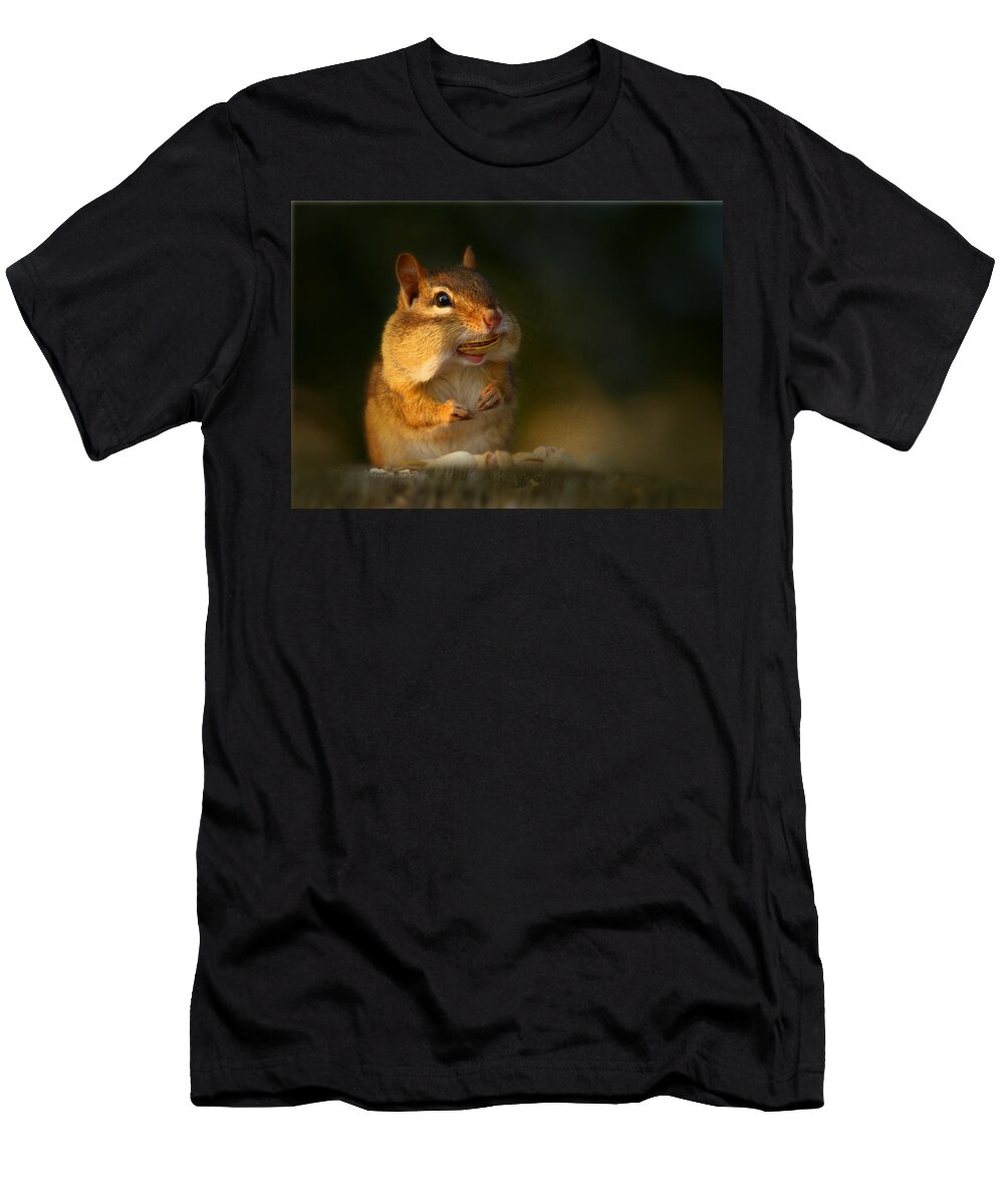 Chipmunk T-Shirt featuring the photograph Ray by Lori Deiter