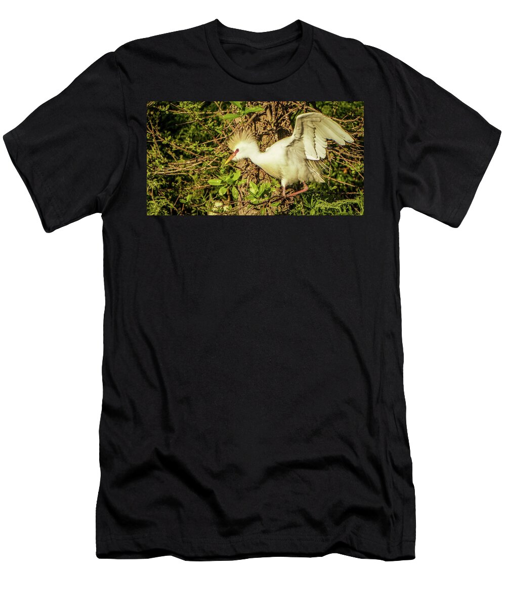 Florida T-Shirt featuring the photograph Ready to fly by Jane Luxton