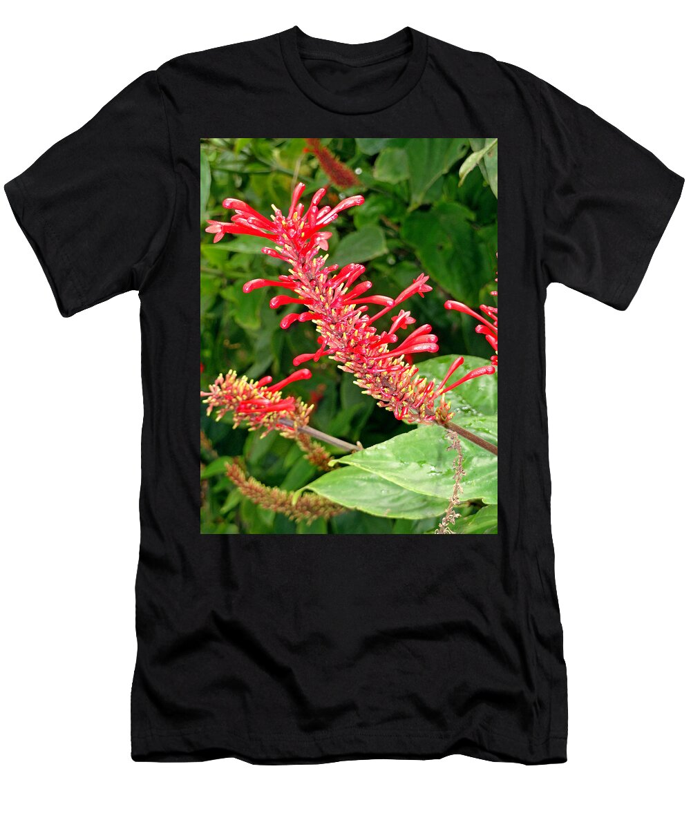 Hawaii T-Shirt featuring the photograph Red Fingerlings by Robert Meyers-Lussier