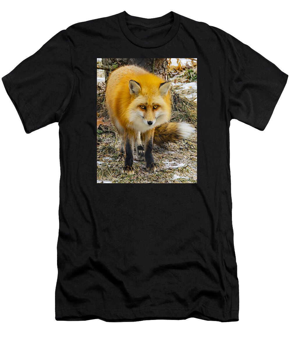 Nature Wear T-Shirt featuring the photograph Red Fox Nature Wear by LeeAnn McLaneGoetz McLaneGoetzStudioLLCcom