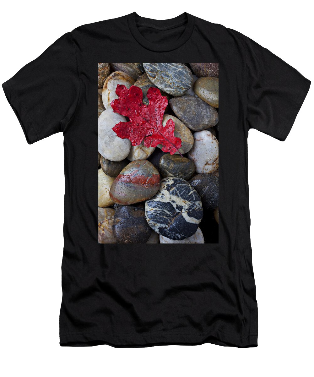 Red Leaf T-Shirt featuring the photograph Red Leaf Wet Stones by Garry Gay